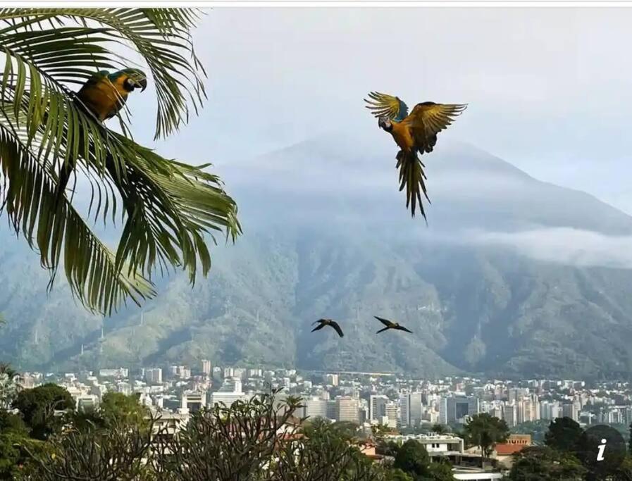 Moderno Y Bonito Apto En Sebucan, Caracas