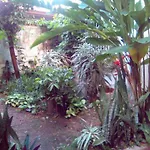 Casa machila