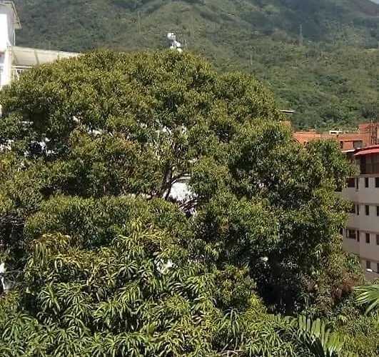 Executive Type Apartment Of 35 Meters Sebucan Caracas