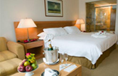 Eurobuilding Hotel&suites Hotel 5*