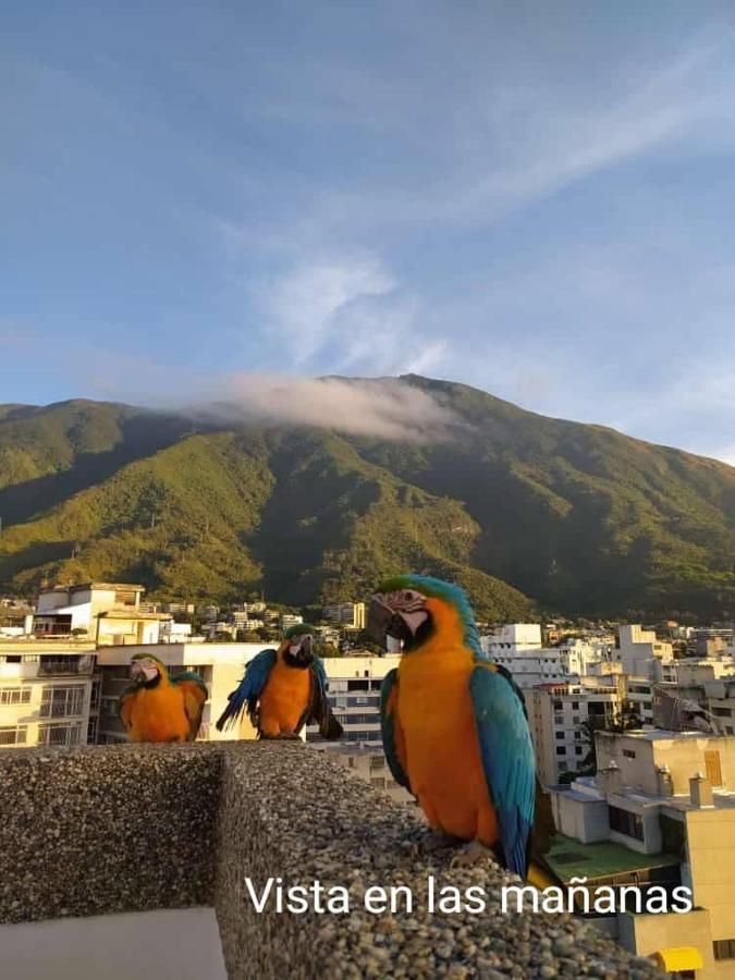 Apartamento Contemporary Caracas