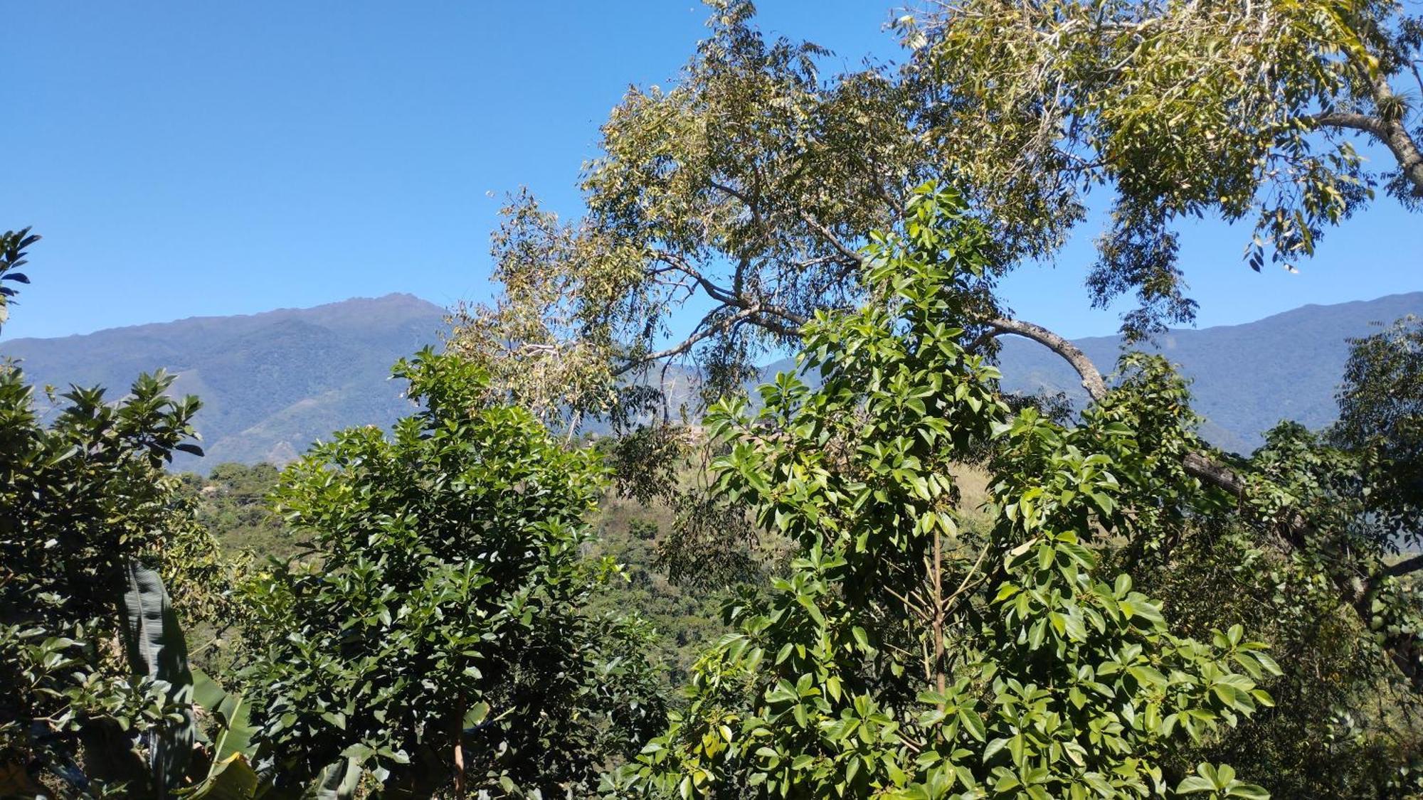 Homestay 74 *