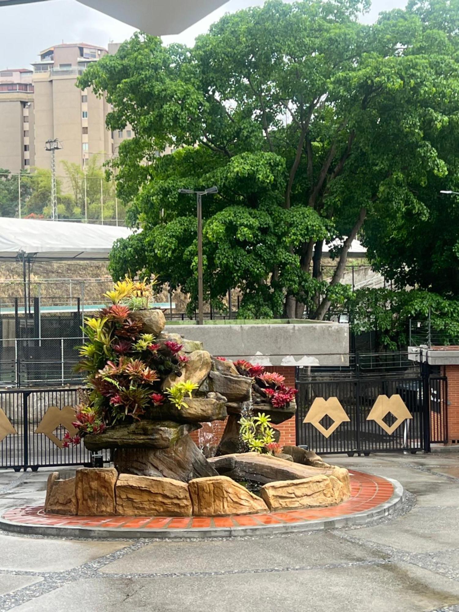 Rio De Oro