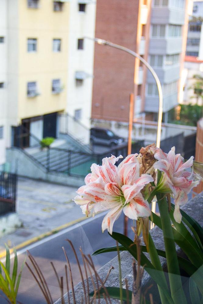 Apartamento Apartamento Av Andres Bello