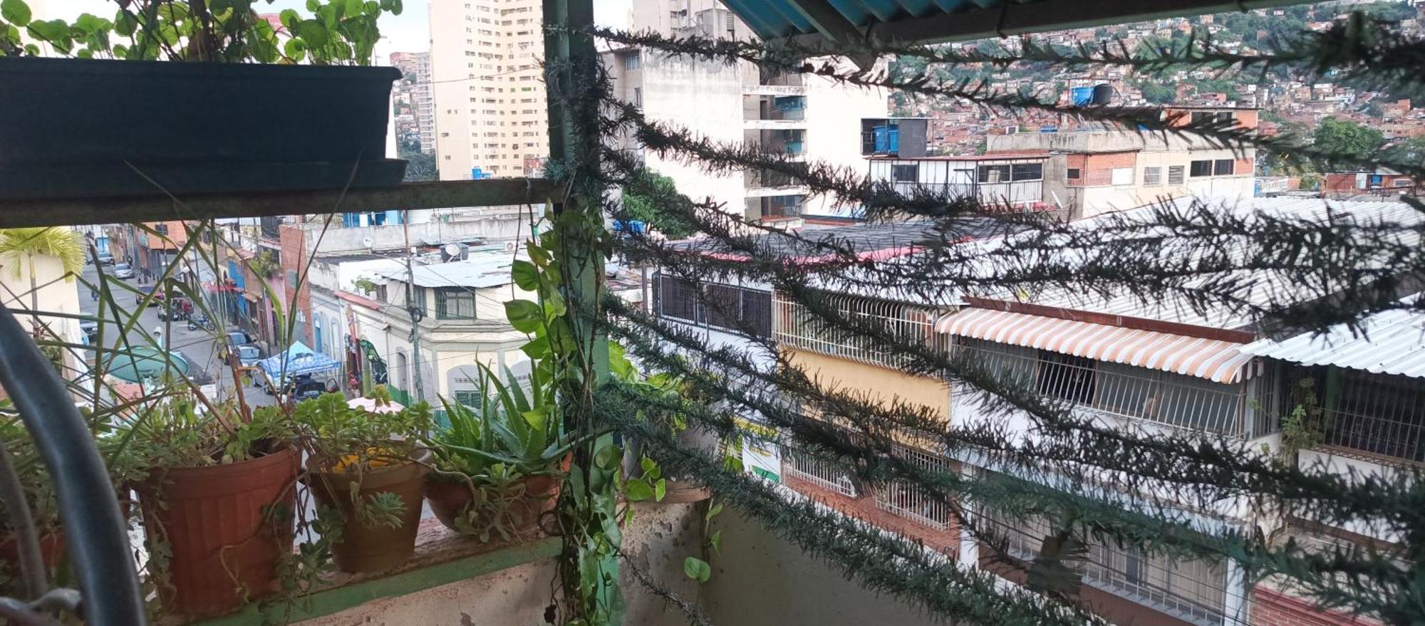 Pensión Don Gato Caracas
