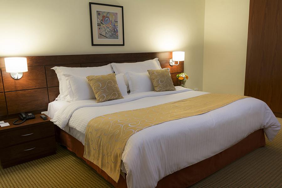 Hotel Continental Altamira 4*