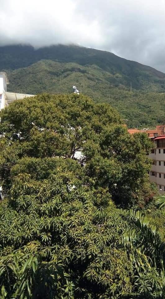 Apartamento Executive Type Of 35 Meters Sebucan *