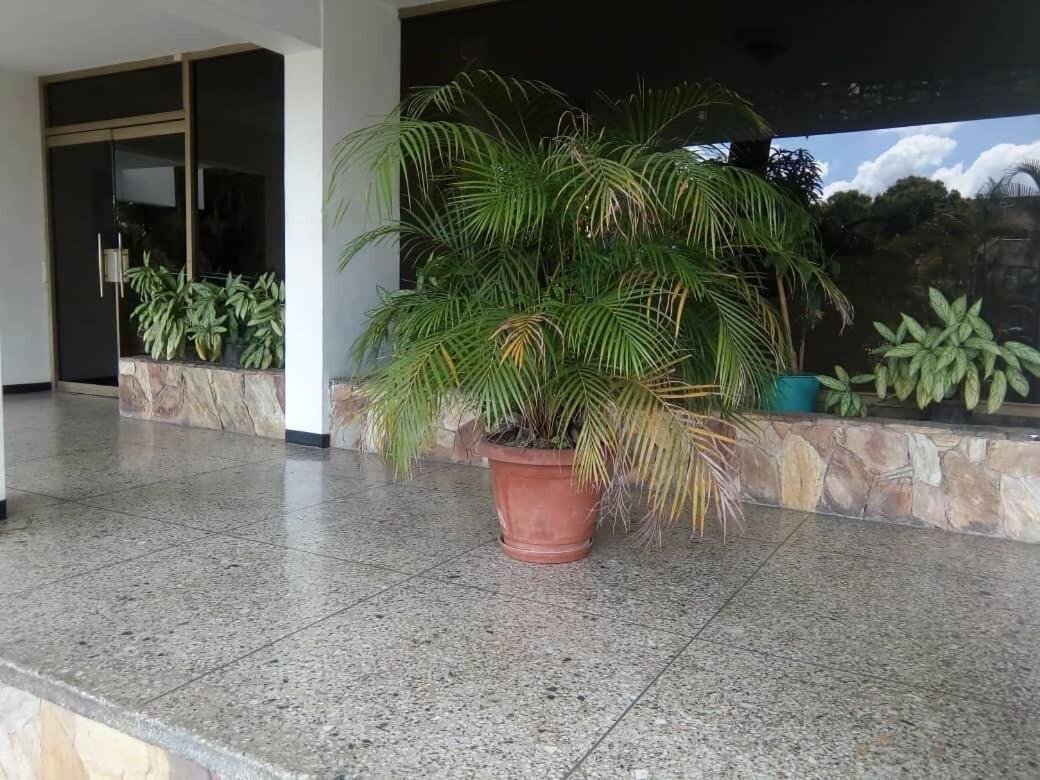 Executive Type Of 35 Meters Sebucan