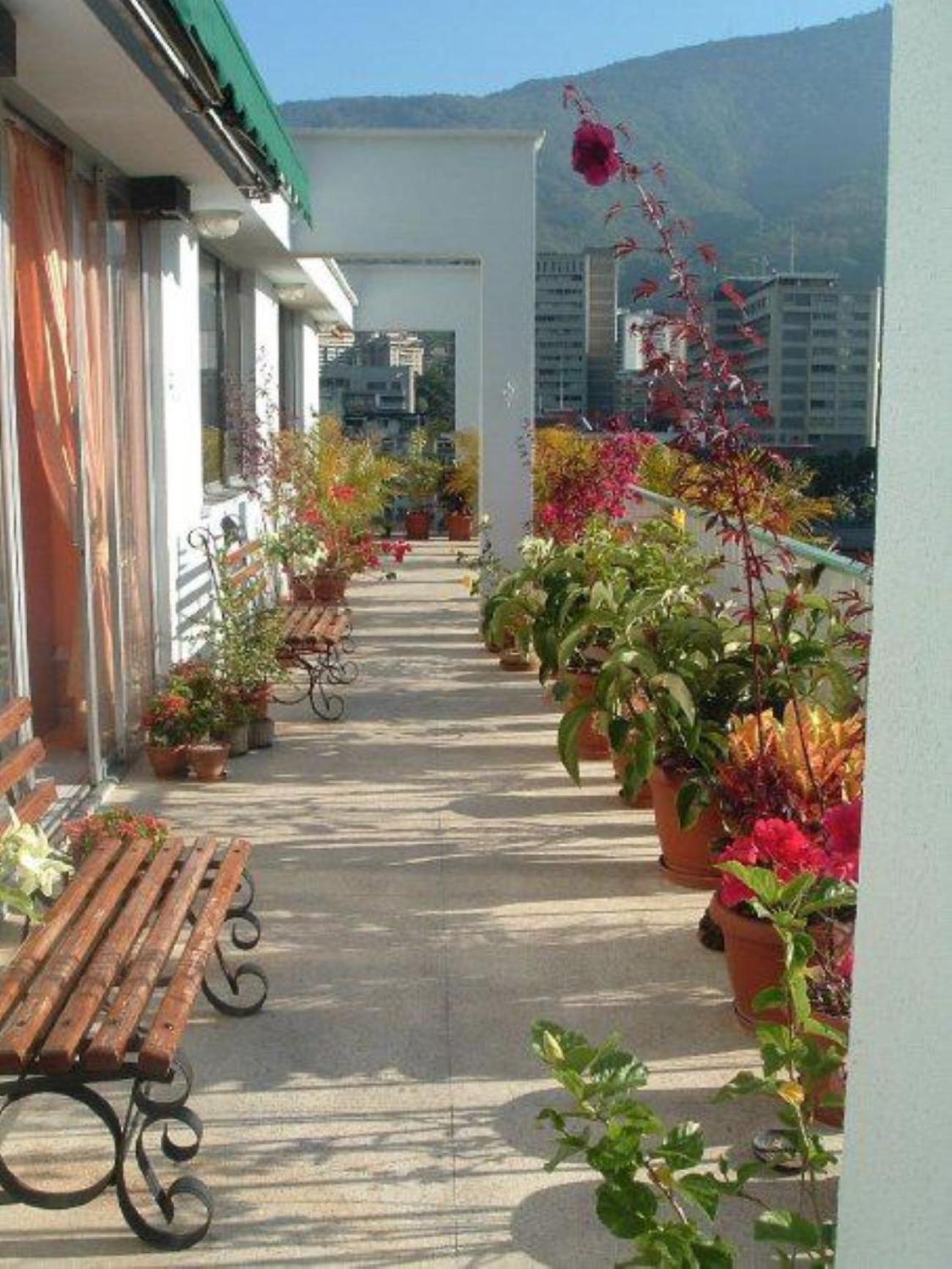 Penthouse En El Centro Financiero De *