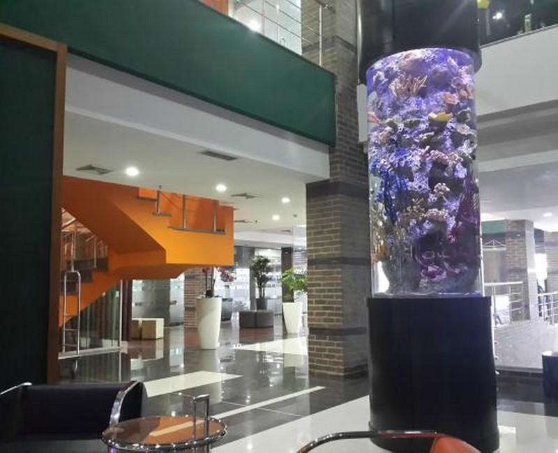 Hotel Alex 4*