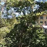 Villa 74