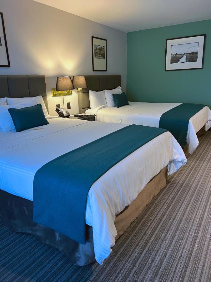Lidotel Hotel 5*